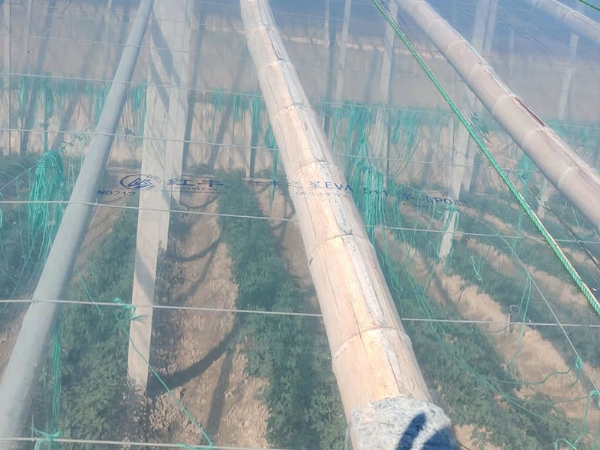 微信圖片_202111190911271